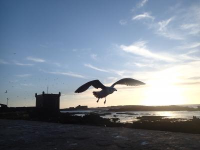 モロッコ一人旅12