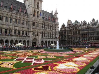 Flower Carpet 2010