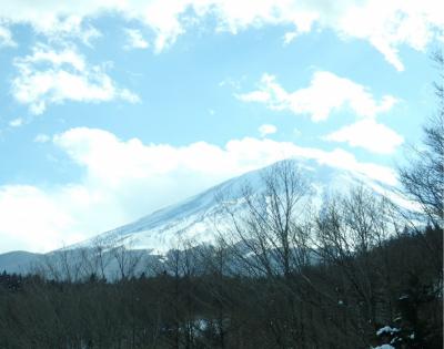 《2015年1月》絶対晴れる！ふじてんスノーリゾート　日帰りスキー