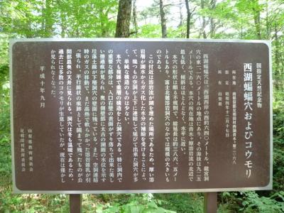 不思議な「西湖・コウモリ穴」