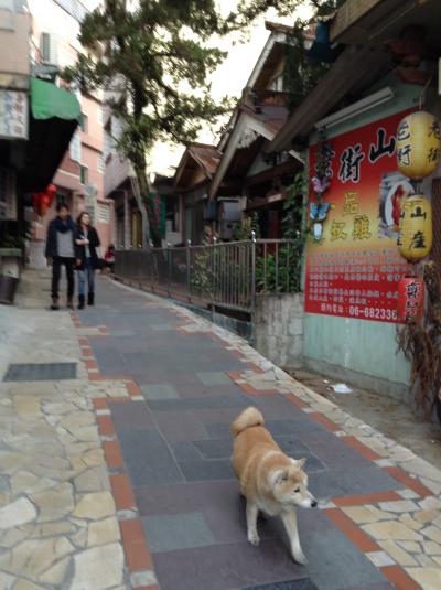 2014～2015 台湾・台北-台中-関子嶺温泉 その6