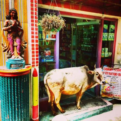 リシケシ最終日、ハリドワール経由のデリーへ