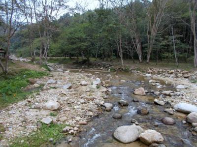 ☆バンドゥ日記 2015☆ 1月(後) 多忙・MTB・北泰的至福 ~2/5