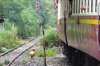 バンコク→ホアヒン→タル島旅行記(4)タイ国鉄ホアラポーン駅、バンスー駅、サムセン駅