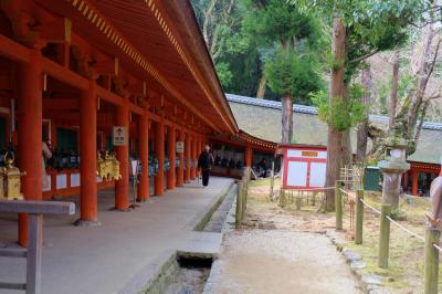奈良旅ー１４　水谷神社から春日大社　御本殿　特別拝観