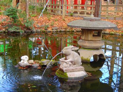 うさぎの神社つきのみや周辺散歩