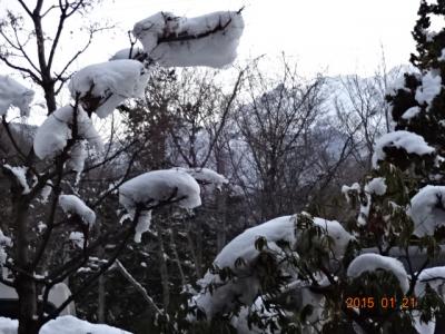 ２０１５年１月２０日　３　日本の宝観光都市高山をタウン・ウォッチング