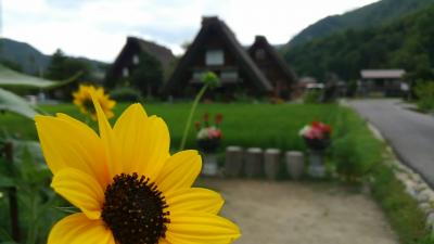 車で行く　夫婦で信州一周旅行　4泊5日　part2