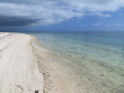 みたび八重山（石垣島まつり）２日目
