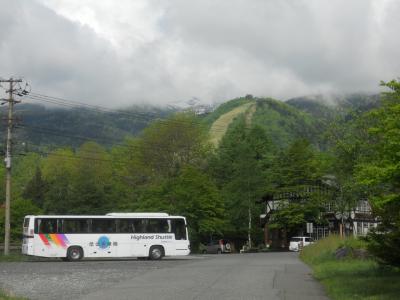山菜の時期の乗鞍高原