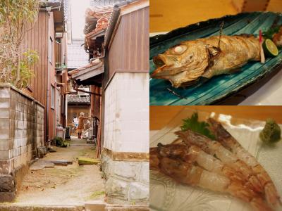 のどぐろとモサエビが食べたい！米子　旧加茂川沿いの町並みを散策しました