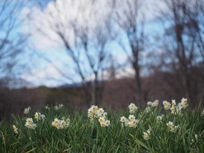 さとみんのお散歩日記