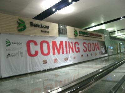 訂正版、新ノイバイ国際ターミナル探検隊！