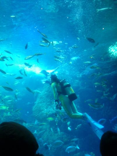 新江ノ島水族館