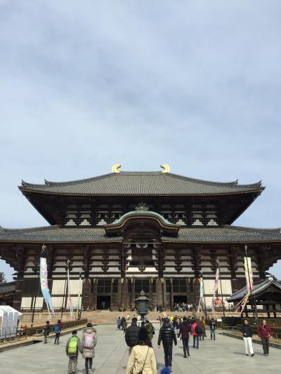 晴れたから奈良に行こう