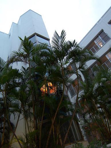 石垣島旅行記③　食事は大事♪