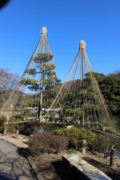 町田薬師が池公園