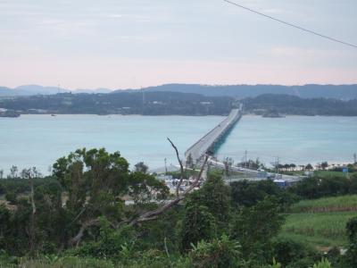 沖縄本島 周遊旅行（2015年2月）