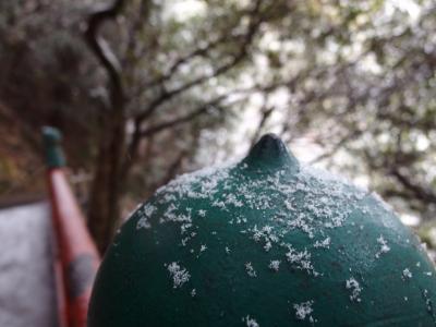 最強寒波襲来　思わぬ雪景色の金華山♪