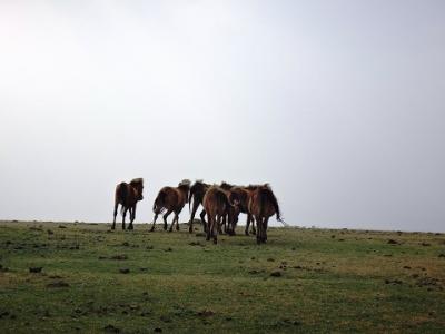 さいはての与那国(よなくに)島と波照間(はてるま)島 へ