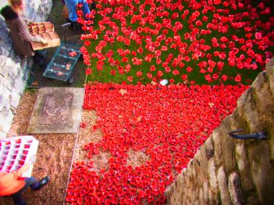1週間丸々ロンドンときどきパディントンベア⑤ロンドン塔のカラス［2014.11.24］