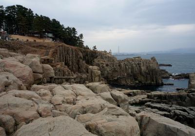 １月下旬　２泊３日福井旅行（東尋坊・越前岬すいせん編）　その３