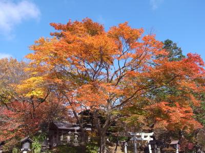 紅葉の那須塩原　今牧場チーズ工房