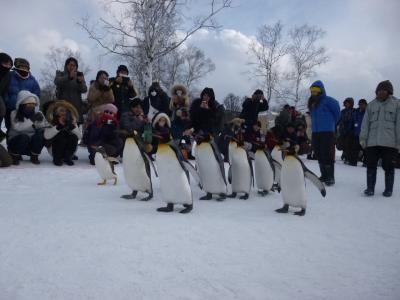 真冬の北海道！  ②旭山動物園