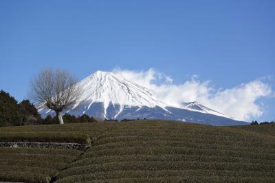 自転車でGO！ 2015.02.13 綺麗な富士山を撮って来ました