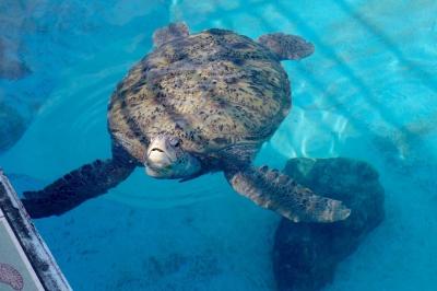 2月の沖縄でやちむんを求めて・・・2泊3日弾丸旅☆