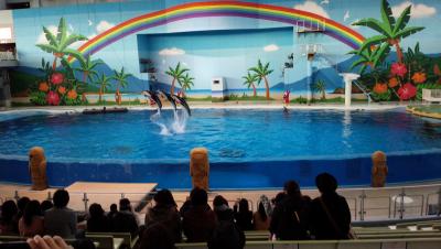 真冬の八景島はとても寒かった！！