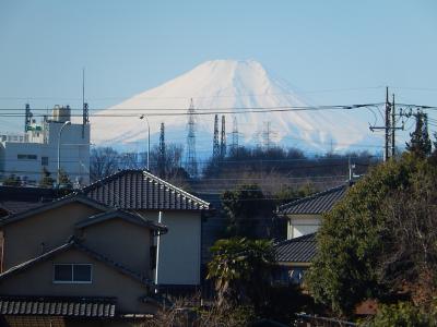 ふじみ野市からくっきりとした富士山が見られた