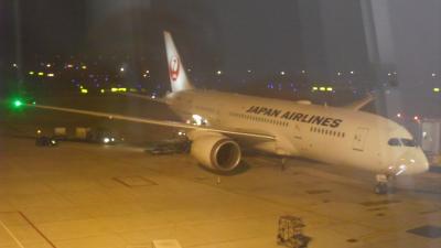 JALベトナム搭乗記2015/02　その2（HAN-NRT・HND-OKA-HND　B787（SS8）　JAL SKY SUITE Cビジネス）FOP2015スタートダッシュ