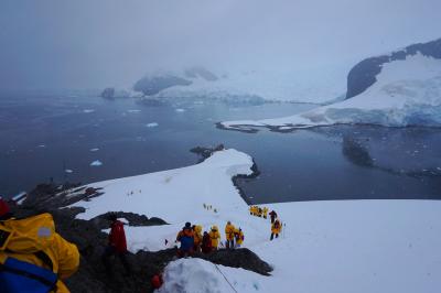 耐氷船オーシャン・ダイヤモンドで航く南極(その５) --ダンコ島上陸・パラダイスハーバー上陸