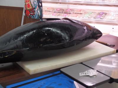 マグロ解体ショー