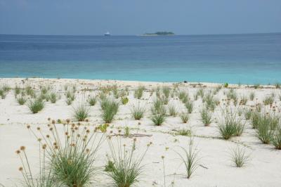 モルディブとドバイでハネムーン13★無人島でピクニック♪