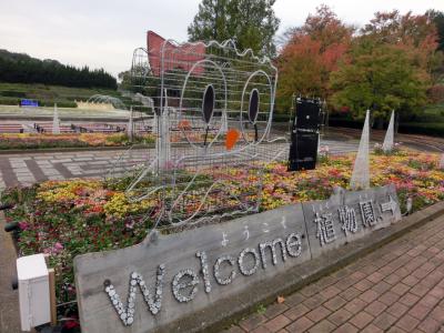 森林公園へ紅葉を見に行きました(が…)(2014年11月)