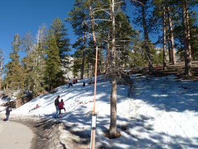 ベガスで雪遊び！　その２　雪遊びとマウントチャールストンロッジ