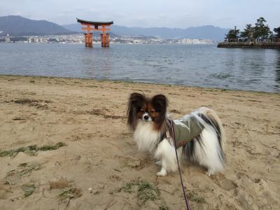 宮島SA～宮浜温泉～厳島神社