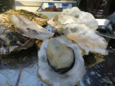 2015.2月 日帰り 浦村牡蠣食べ放題&伊勢神宮