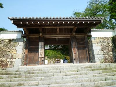 青い苔庭の「大原三千院」