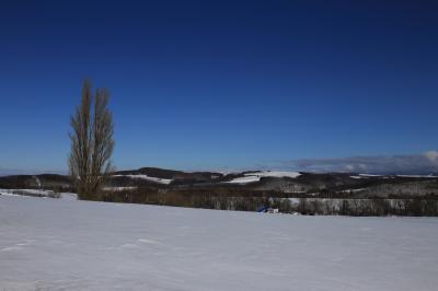 旅するイルカ♪　冬の北海道へ　Day２　Part1　十勝～富良野、美瑛編