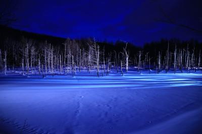 旅するイルカ♪　冬の北海道へ　Day２　Part2　青い池ライトアップ編