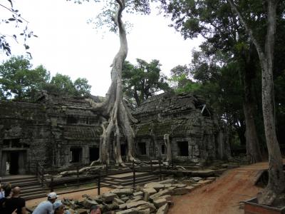 2014年 アンコールワット遺跡群とシェムリアップ