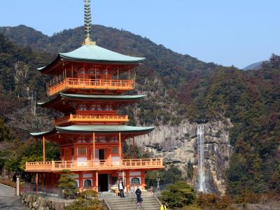 伊勢路から紀州路へと梅もほころぶ　早春の熊野古道♪ 大門坂～熊野那智大社・那智の滝