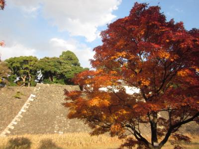 皇居　乾通りで紅葉観賞