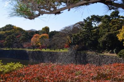 【天皇陛下傘寿記念 「乾通り」一般公開と都内紅葉めぐり】　③