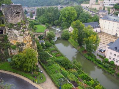 ベルギー一人旅 目的は2年に1度のフラワーカーペット 雨の隣国ルクセンブルク編