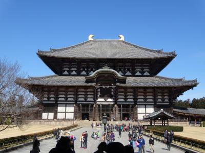 2015年2月 早春を感じながら奈良公園と周辺を散策