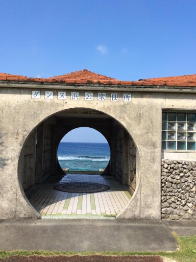 与那国馬を見たく 与那国島ひとり旅